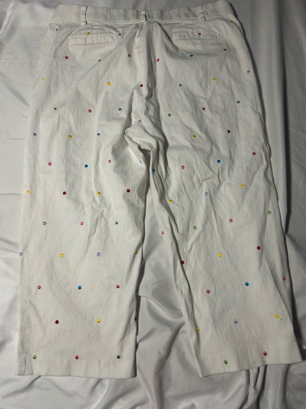 Briggs New York Womens Capri Pants White Embroidered Polka Dots Size 16 - Picture 12 of 13